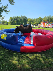 Bull 1737123706 Mechanical Bull